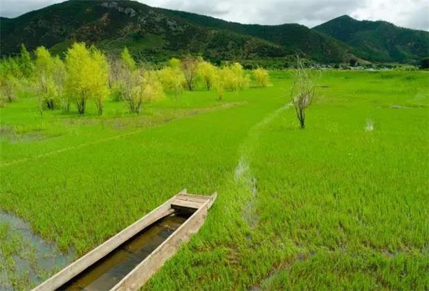 云南會展策劃：關(guān)于瀘沽湖的好風景，都想與你分享！
